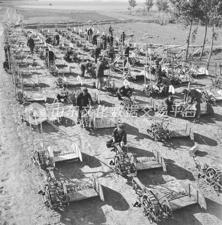 枣庄市社办用土钢土铁生产的“太谷式”收割机。