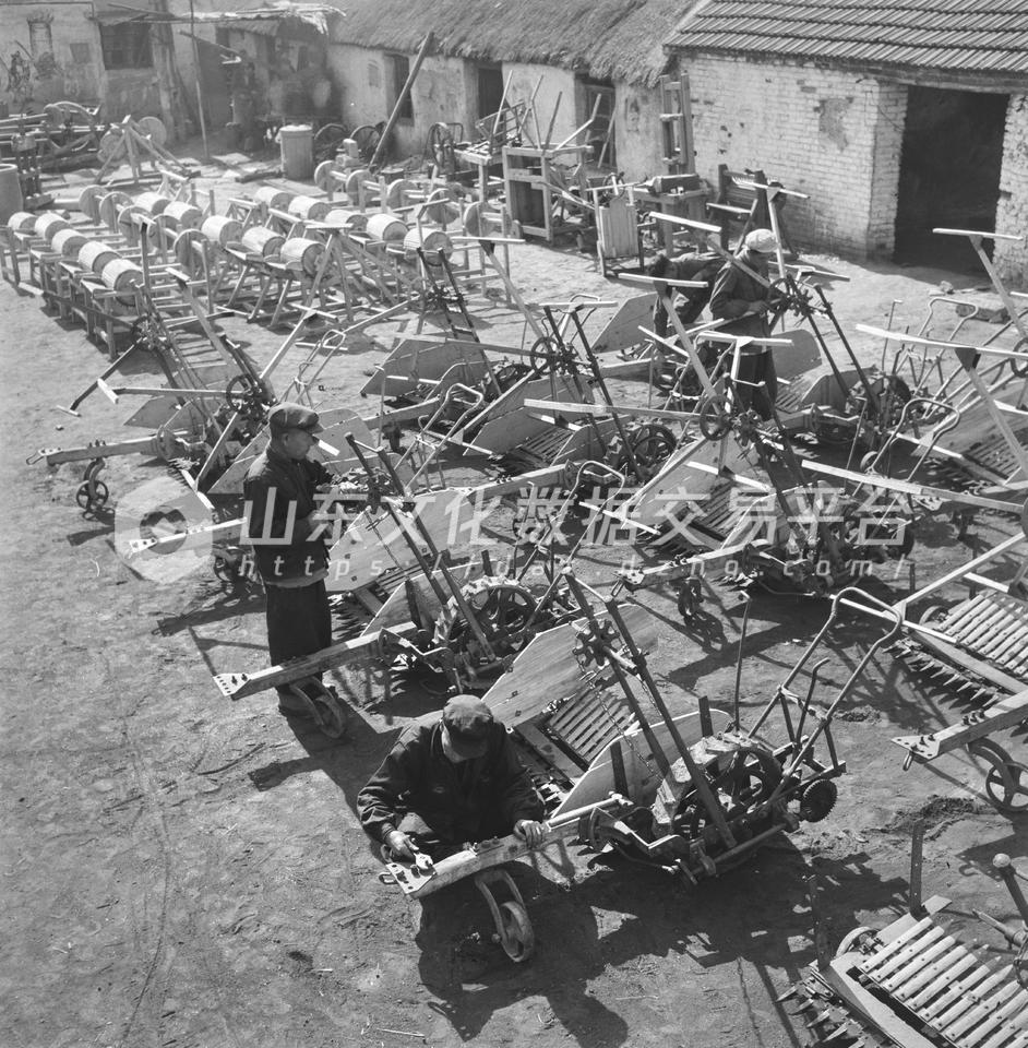枣庄市社办的马拉收割机。