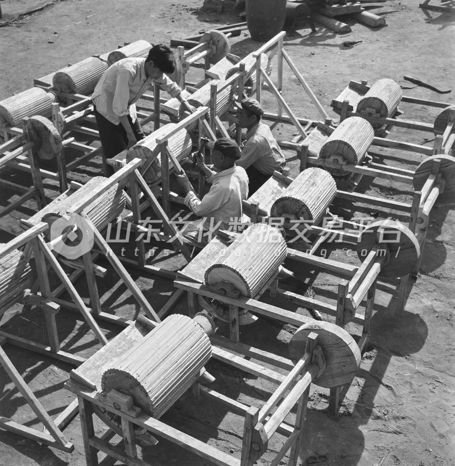 枣庄市社办的小麦脱粒机。